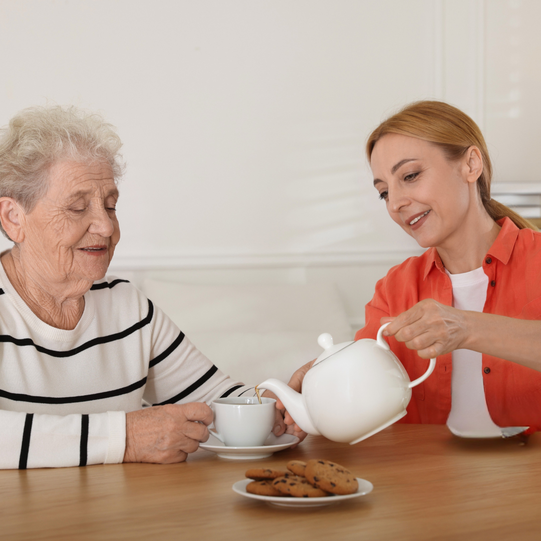 Freundliche Alltagshilfe der Haushalts-Elfen