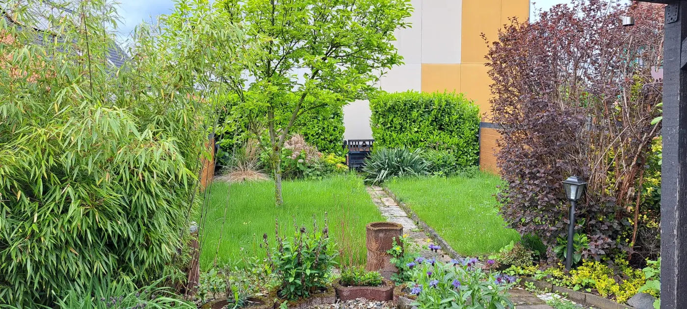 Überwucherter Gartenbereich vor der Pflege