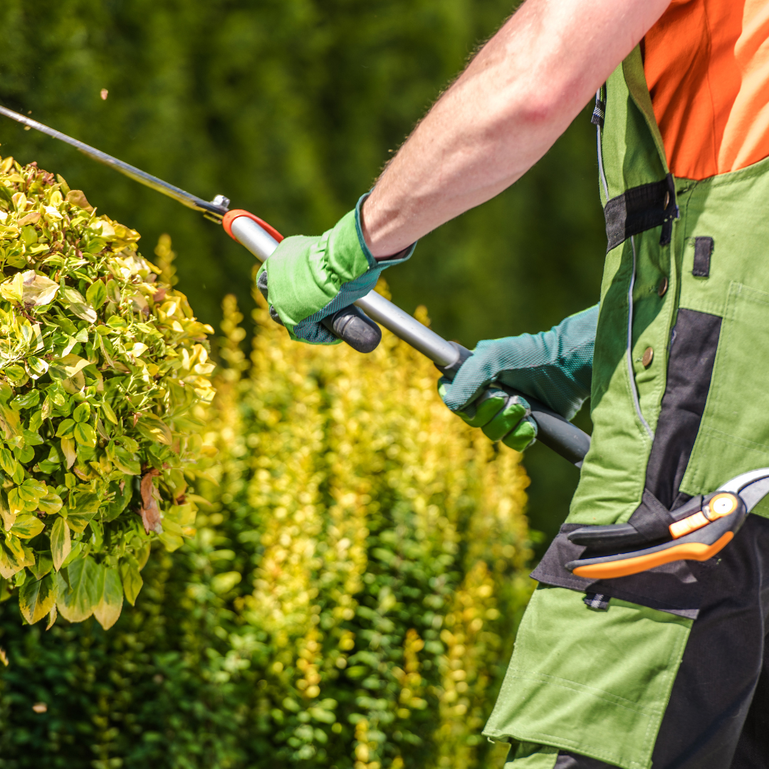 Gartenhilfe der Haushalts-Elfen